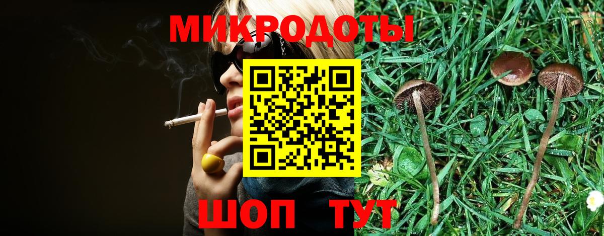 Свободный  Псилоцибиновые грибы прущие грибы  где продают наркотики  Вход с VPN  Псилоцибиновые грибы Psilocybine cubensis 